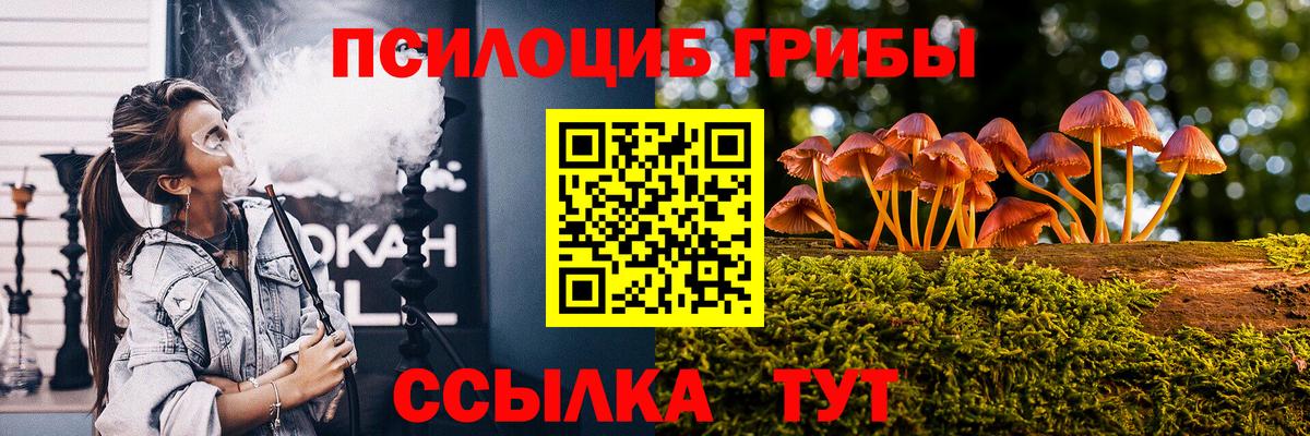 Псилоцибиновые грибы прущие грибы Изобильный